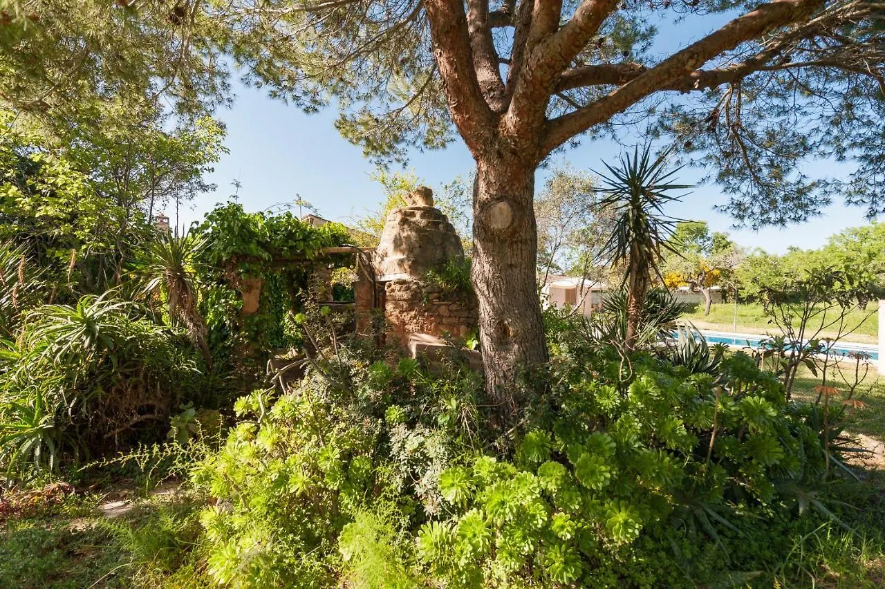Villa Els Olivers / Olivers Petits 알쿠디아 0*,